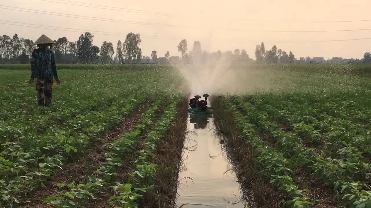 Độc đáo chiếc máy tưới khoai tự động
