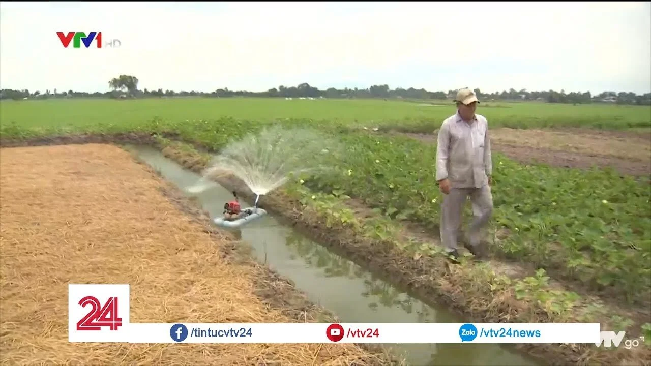 Lão nông miền Tây sáng chế máy tưới nước tự động giá rẻ bất ngờ