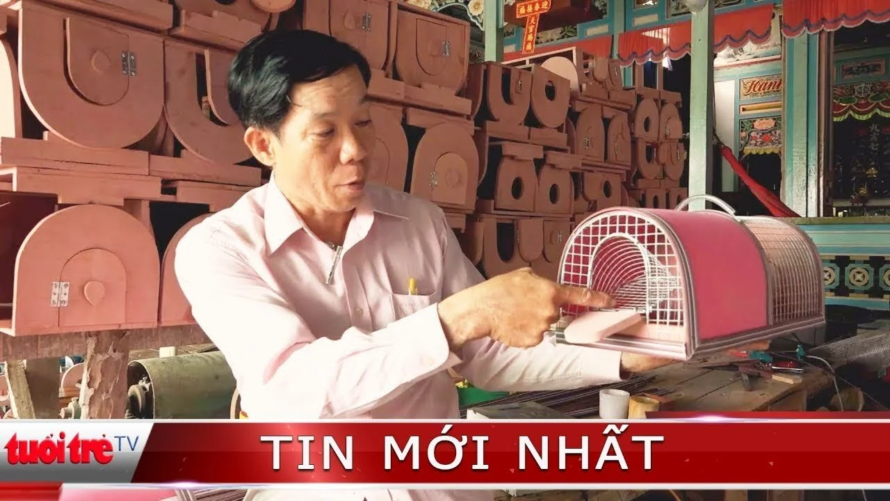 Bẫy chuột thông minh bắt hết chuột