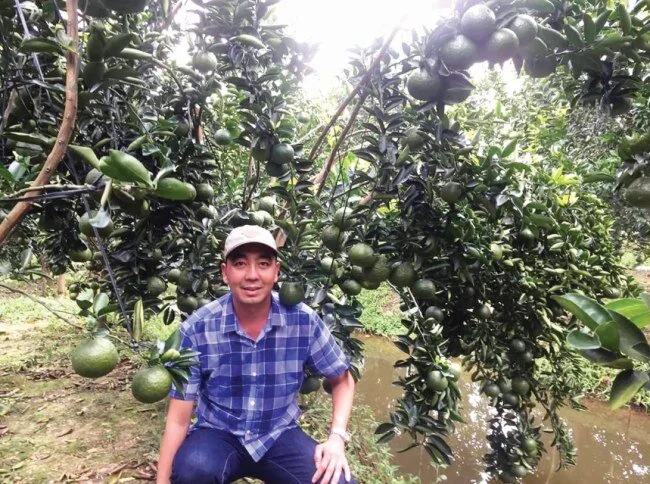 Sáng chế hữu ích của nông dân Cao Phát Triển