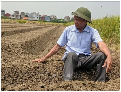Những sáng chế trên đồng ruộng