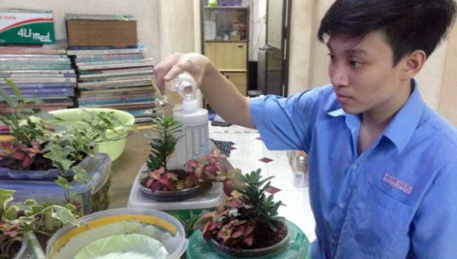 Trồng cây trên nhiều nguồn nước khác nhau