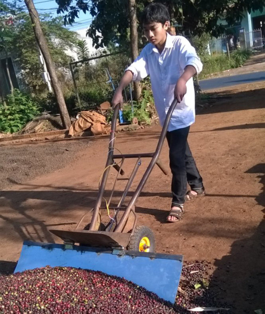 Học trò sáng chế xe thu gom nông sản tự động