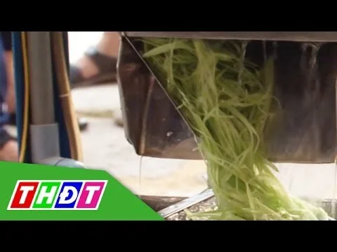 Học sinh sáng tạo máy bào rau củ