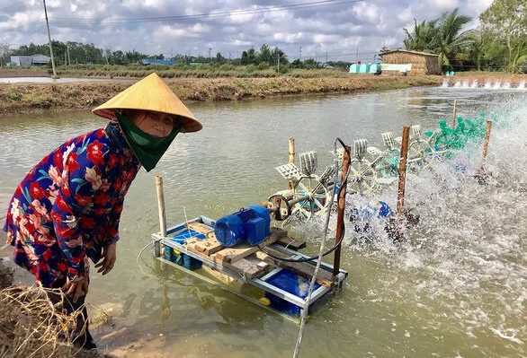 Nhờ dàn quạt oxy có gắn gối đỡ con lăn, mỗi năm bà Nguyễn Mai Thảo (thị xã Vĩnh Châu, Sóc Trăng) tiết kiệm tiền điện không dưới 10 triệu đồng - Ảnh: KT.