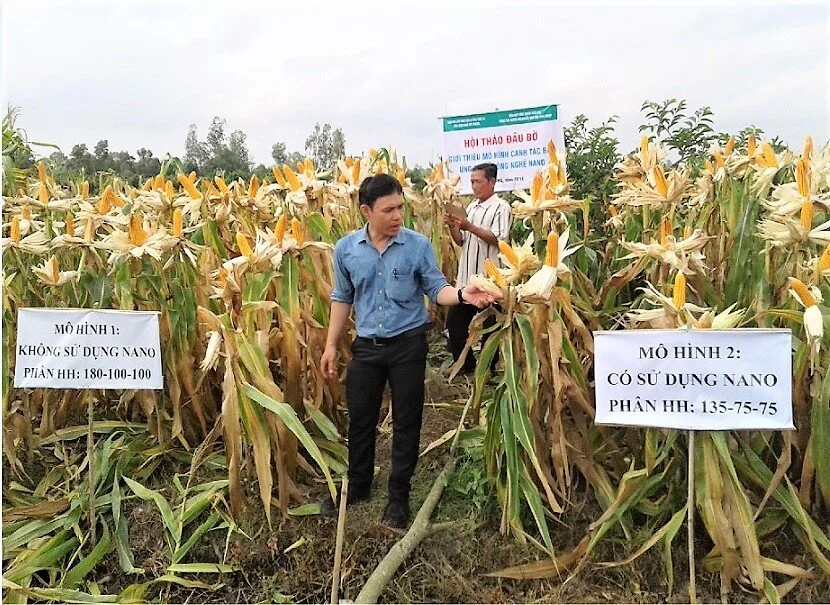 Chế phẩm “đánh thức” hạt giống