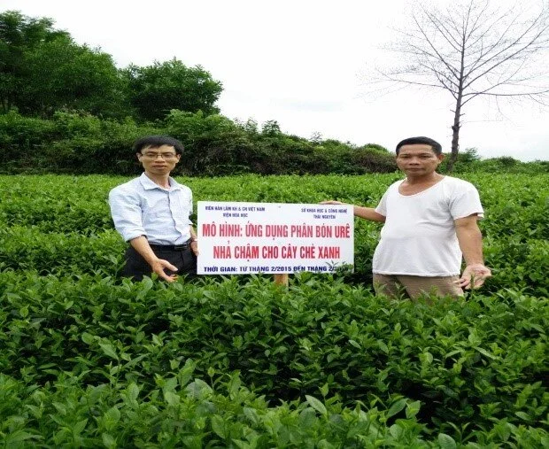 Phân bón nhả chậm: Bón một lần cho cả vụ canh tác
