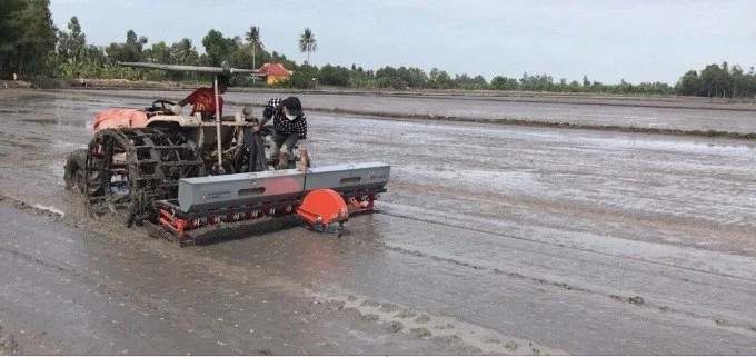 Máy sạ khóm, 'cách mạng' giảm giống lúa ở ĐBSCL