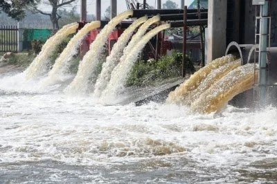 Tận dụng phụ phẩm nông nghiệp phát triển giải pháp xử lý nước thải công nghiệp an toàn