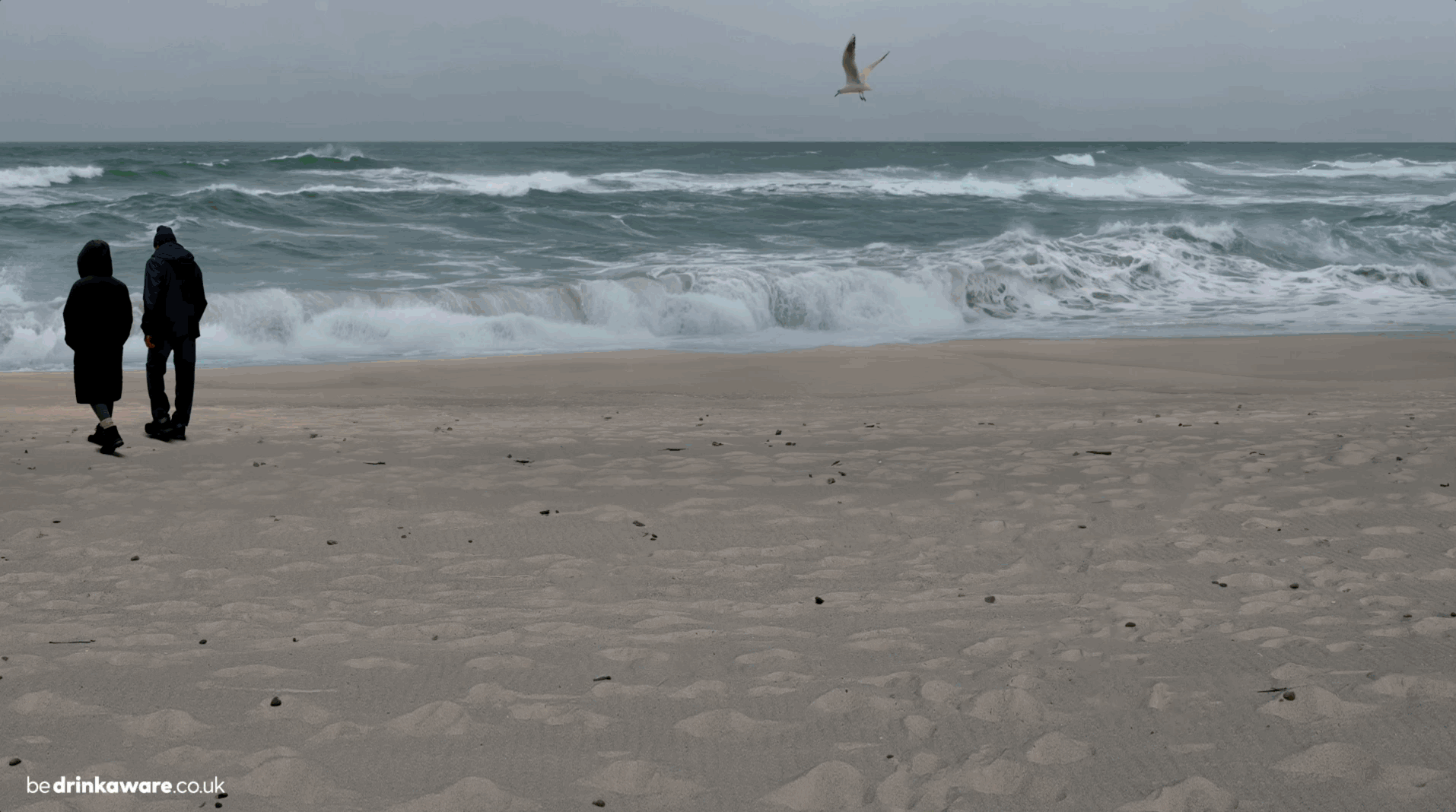 Large GIF (1914x1068).gif