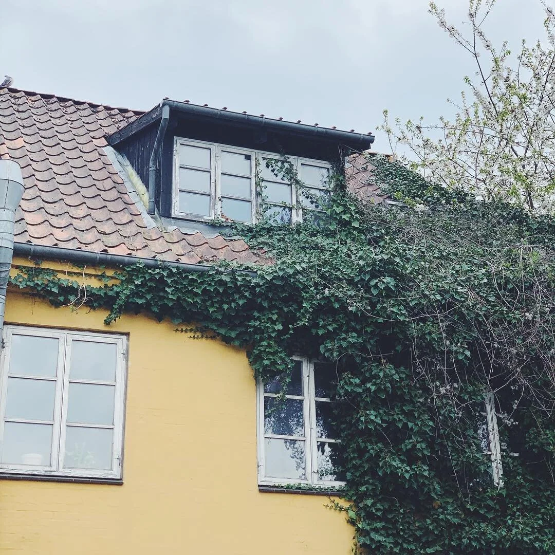 @kunstvaerket atelierer er langsomt, men sikkert ved at blive &ldquo;slugt&rdquo;. 🌿 #godweekend