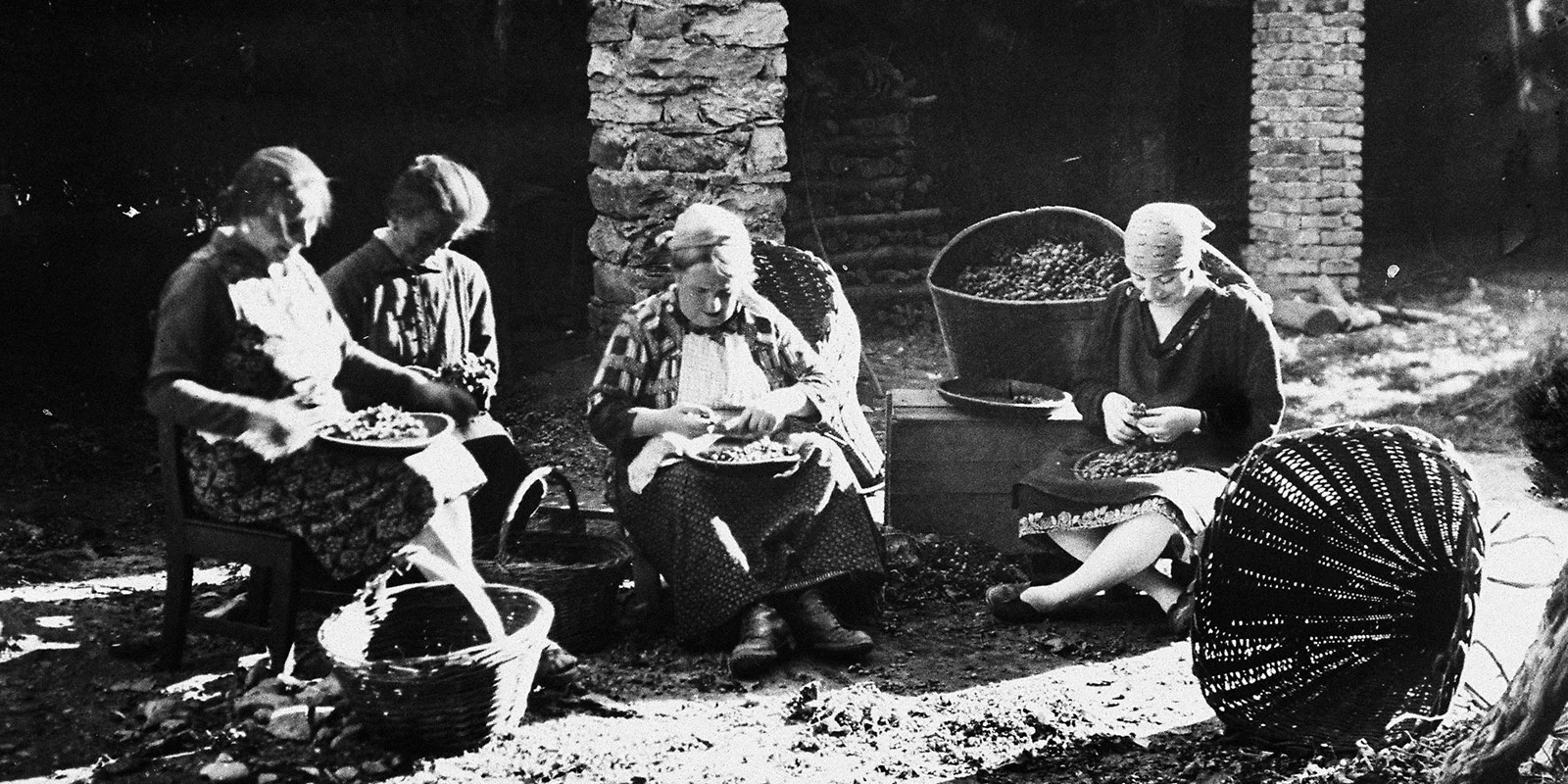 Copyright © TECHE RSI