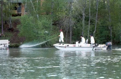 Curly Leaf Pondweed Treatment
