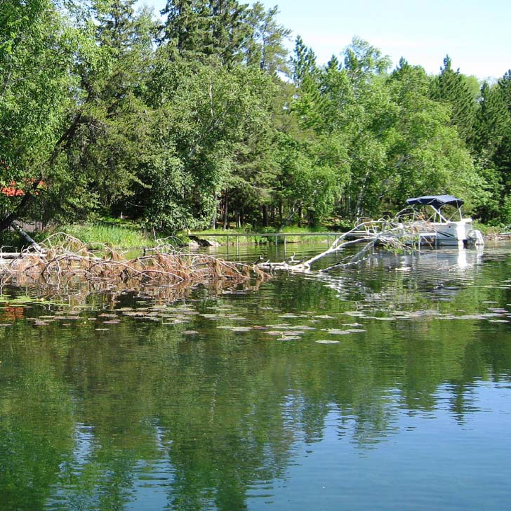 Grant Money Still Available for Shoreline Restoration!