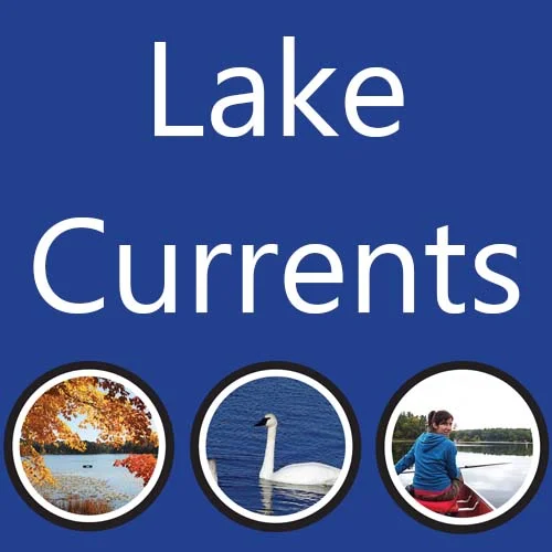 Spring Newsletter 2018 Released