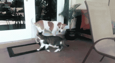 vY3cke8.gif