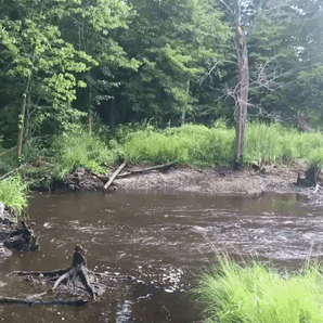 An Update to Our Update...