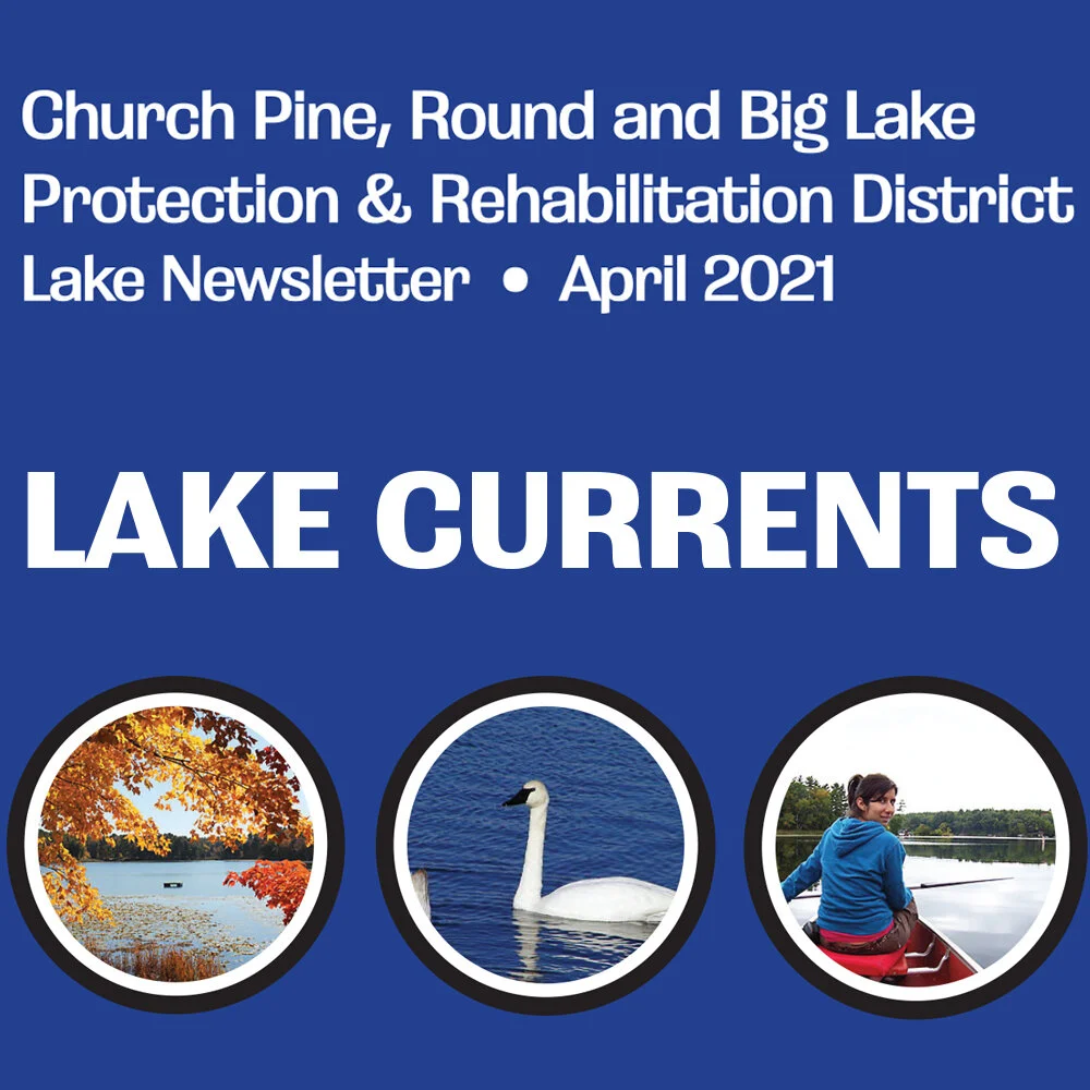 Spring Newsletter 2021 Released