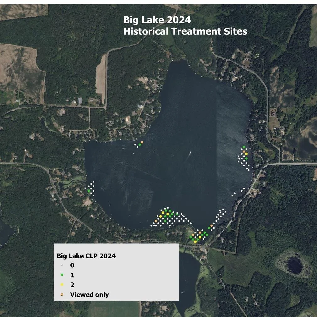 AIS SURVEY - Big Lake, Curly Leaf Pondweed (CLP), Big Lake, Round Lake, and Church Pine Lake Yellow Iris