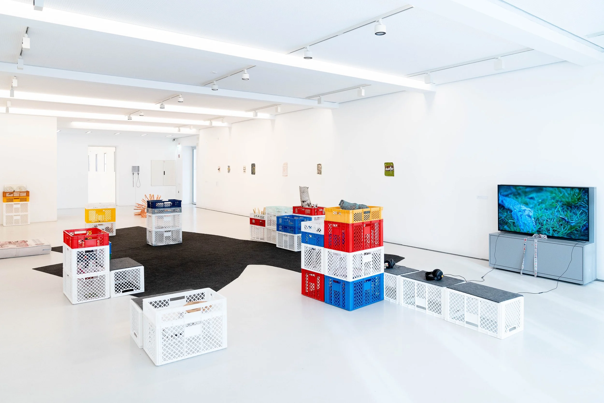  installation view, BLMK Cottbus, 2026, Photo: Bernd Schönberger 