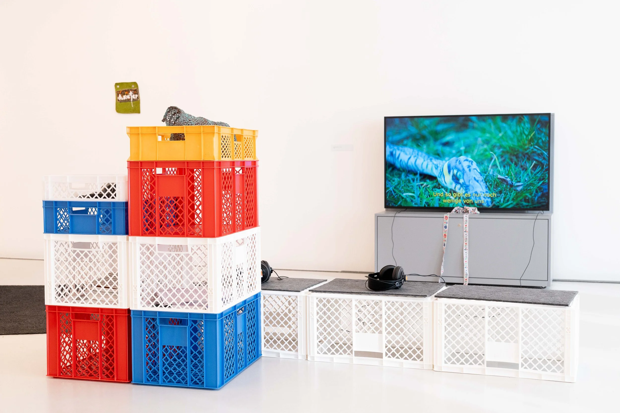  installation view, BLMK Cottbus, 2026, Photo: Bernd Schönberger 
