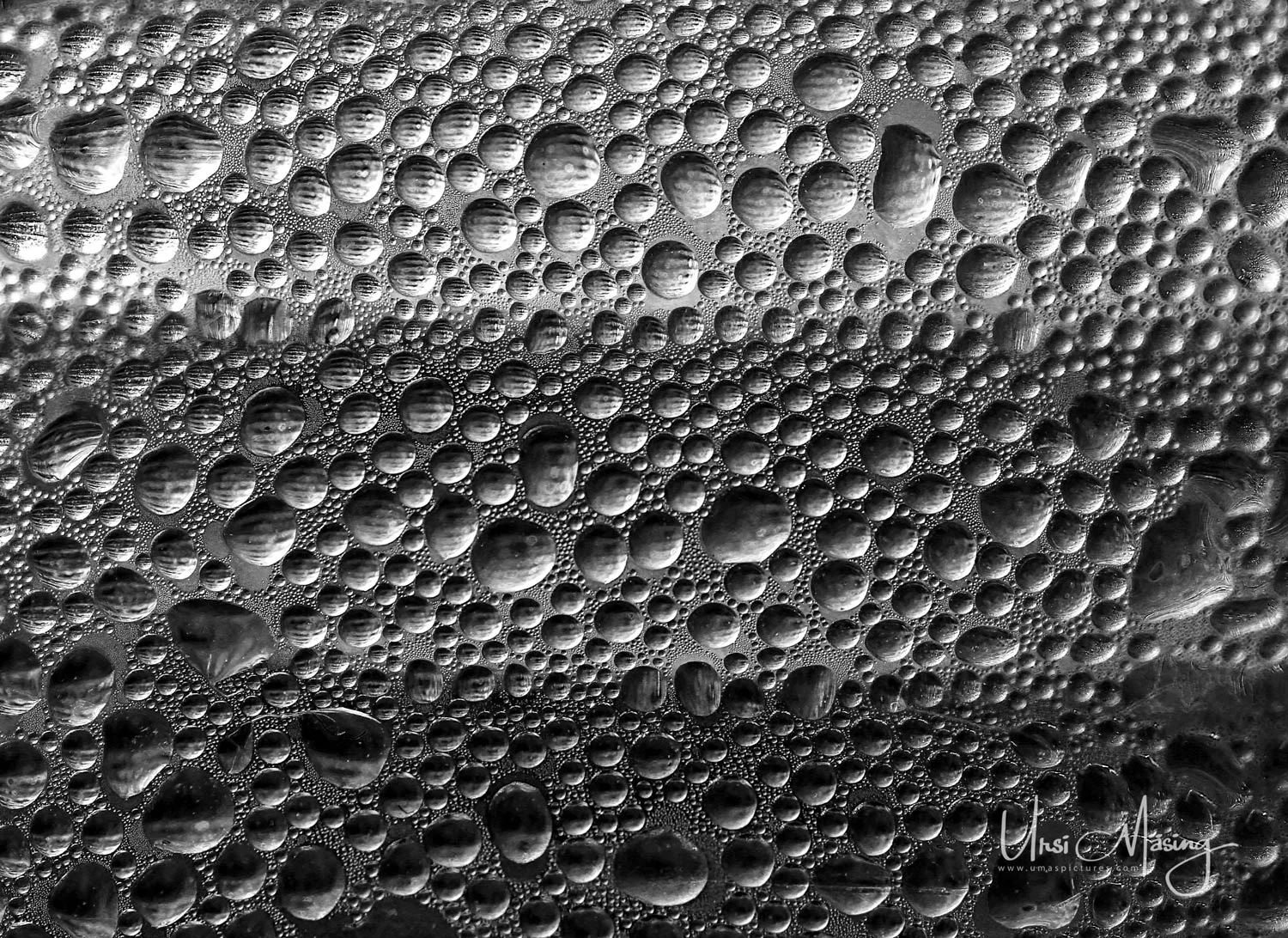 _DSC9360_sw.jpg