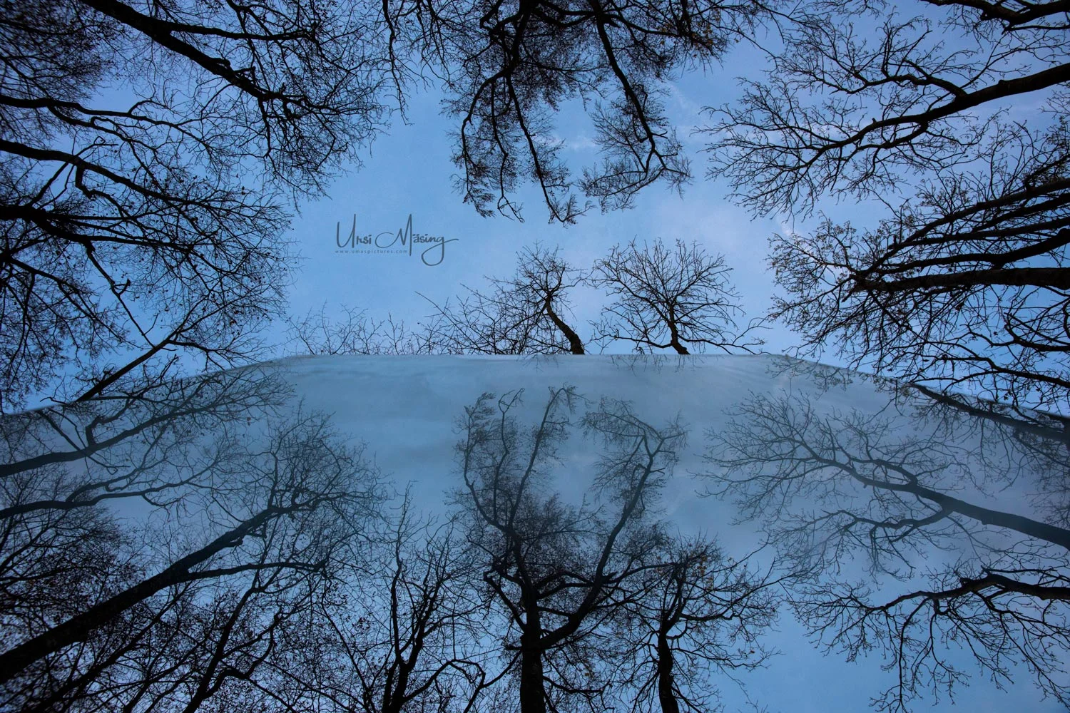 umaspictures_nature_018.jpg