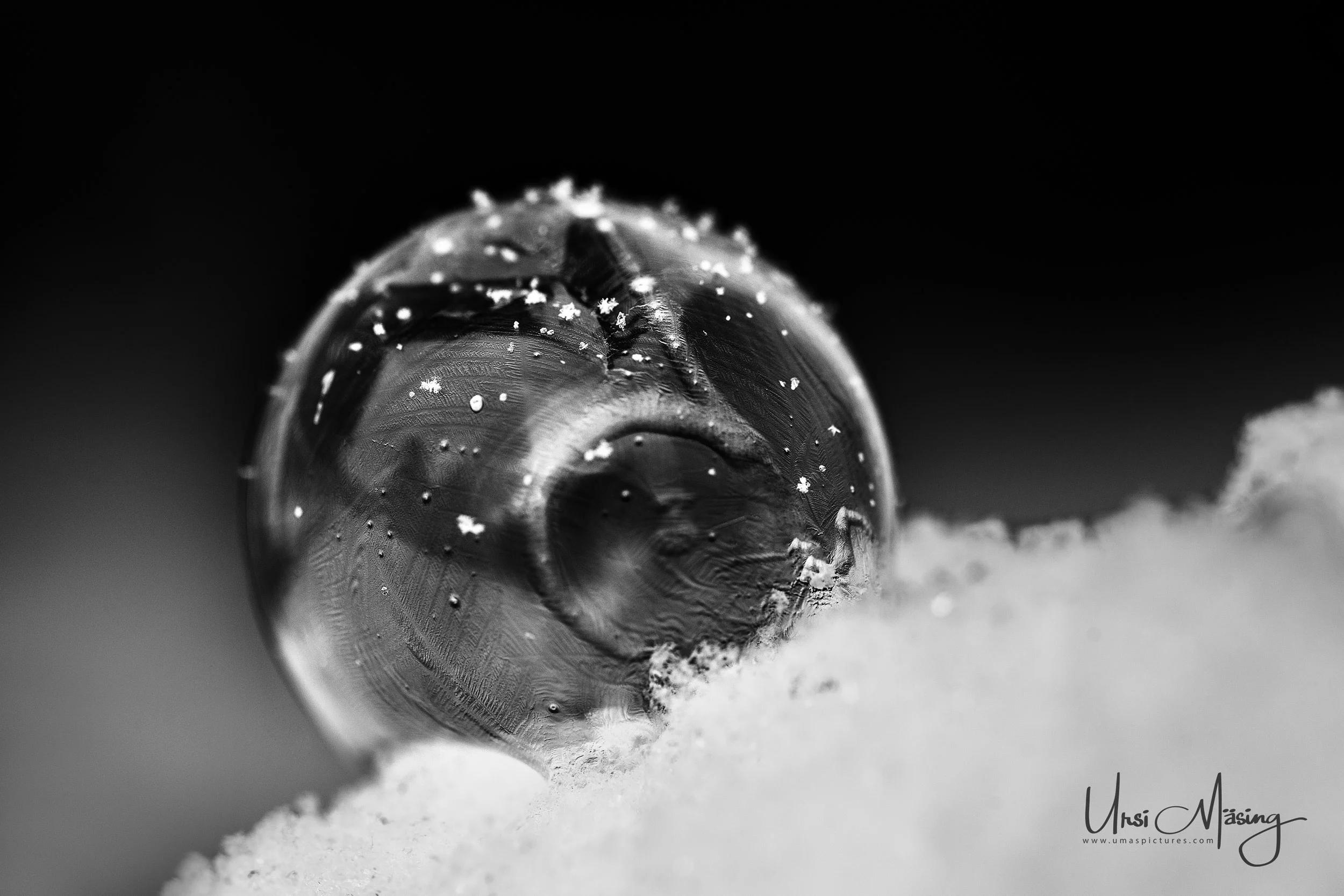 umaspictures_nature_025.jpg