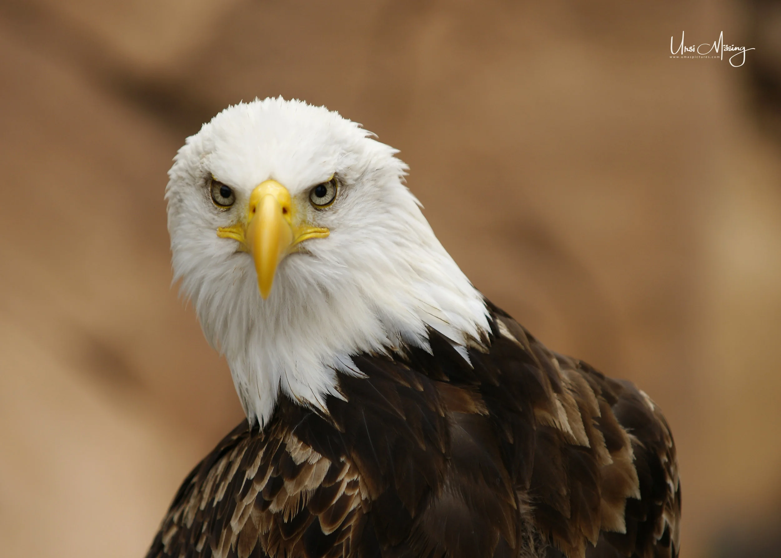 umaspictures_nature_027.jpg