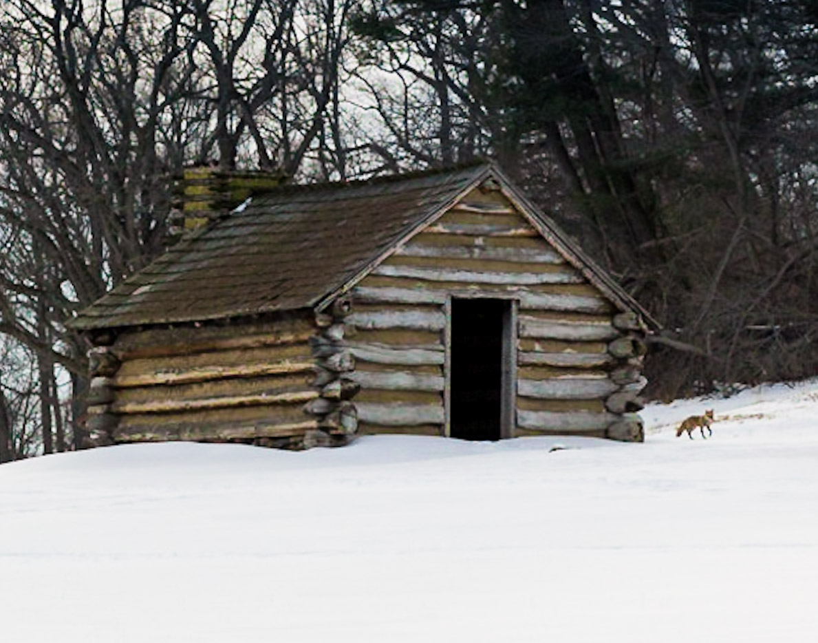 20170317-1U3A0224 (1).jpg