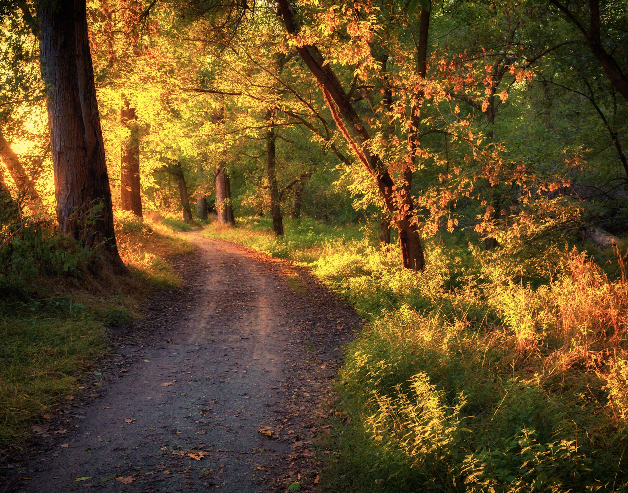 20171019-_U3A7144-Edit (1).jpg