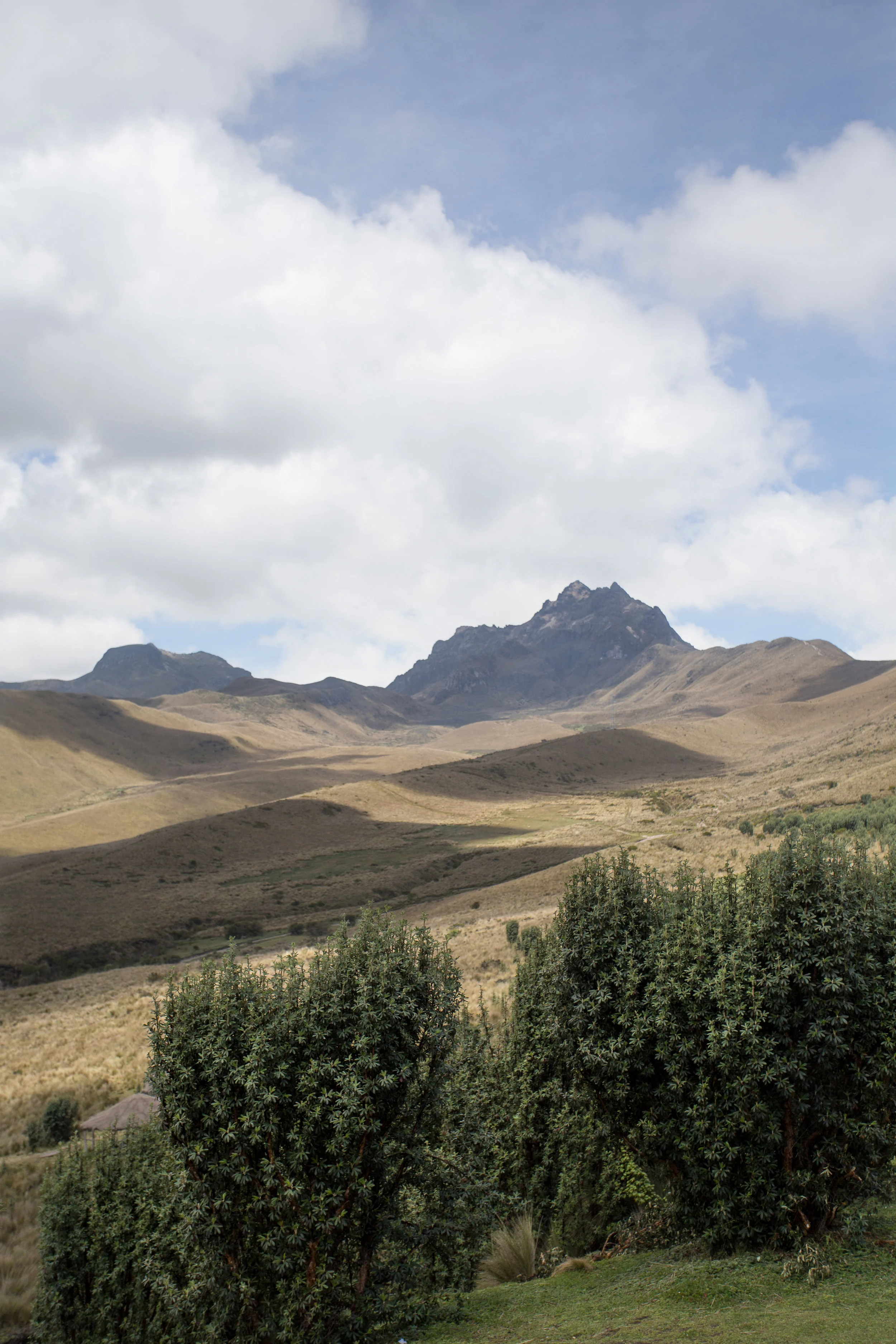IMG_8136.jpg