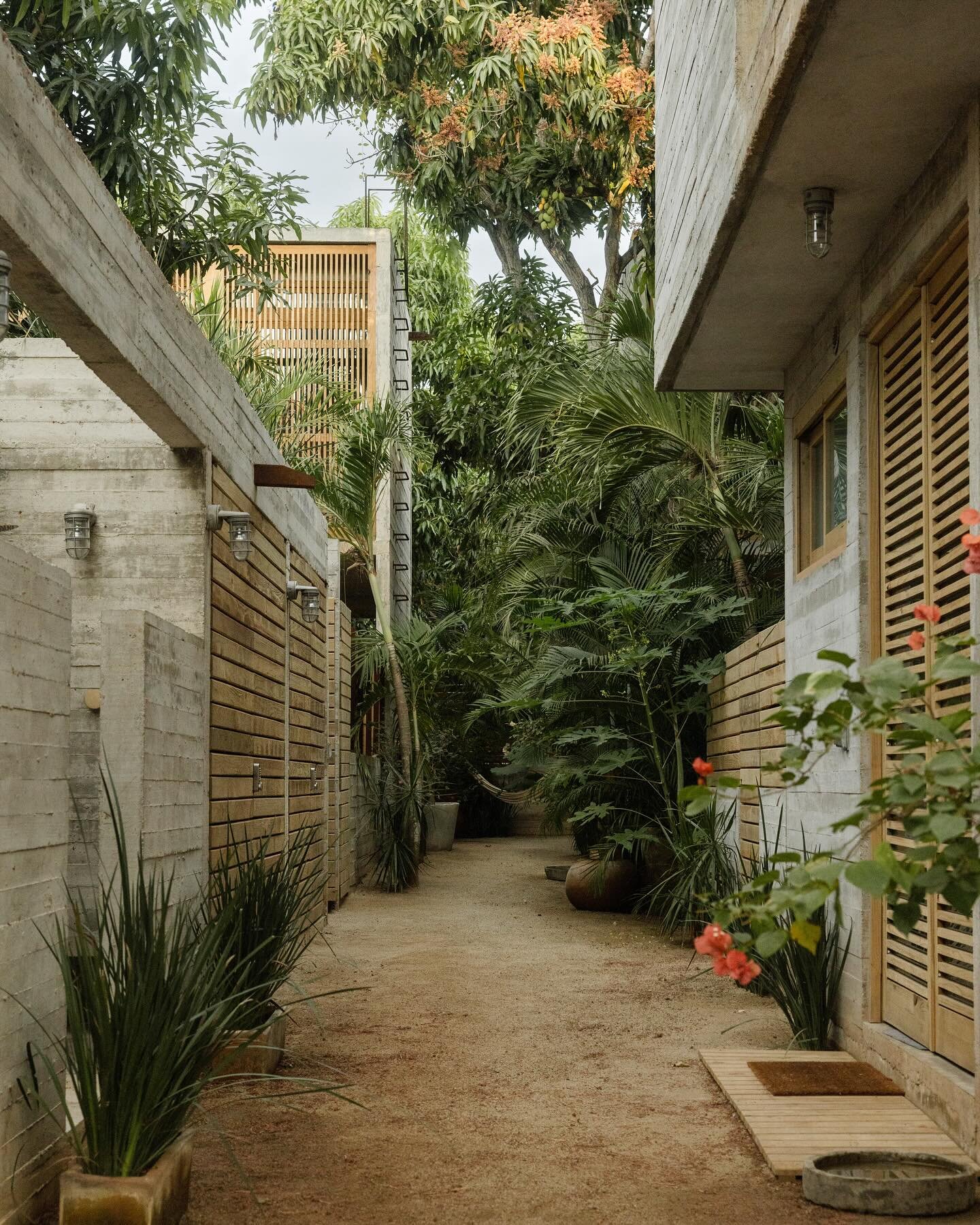Under the blooming mango trees 🥭🌸🌞

Casa Macu / Sich @casamacusaladita 
Architect @chris.luce