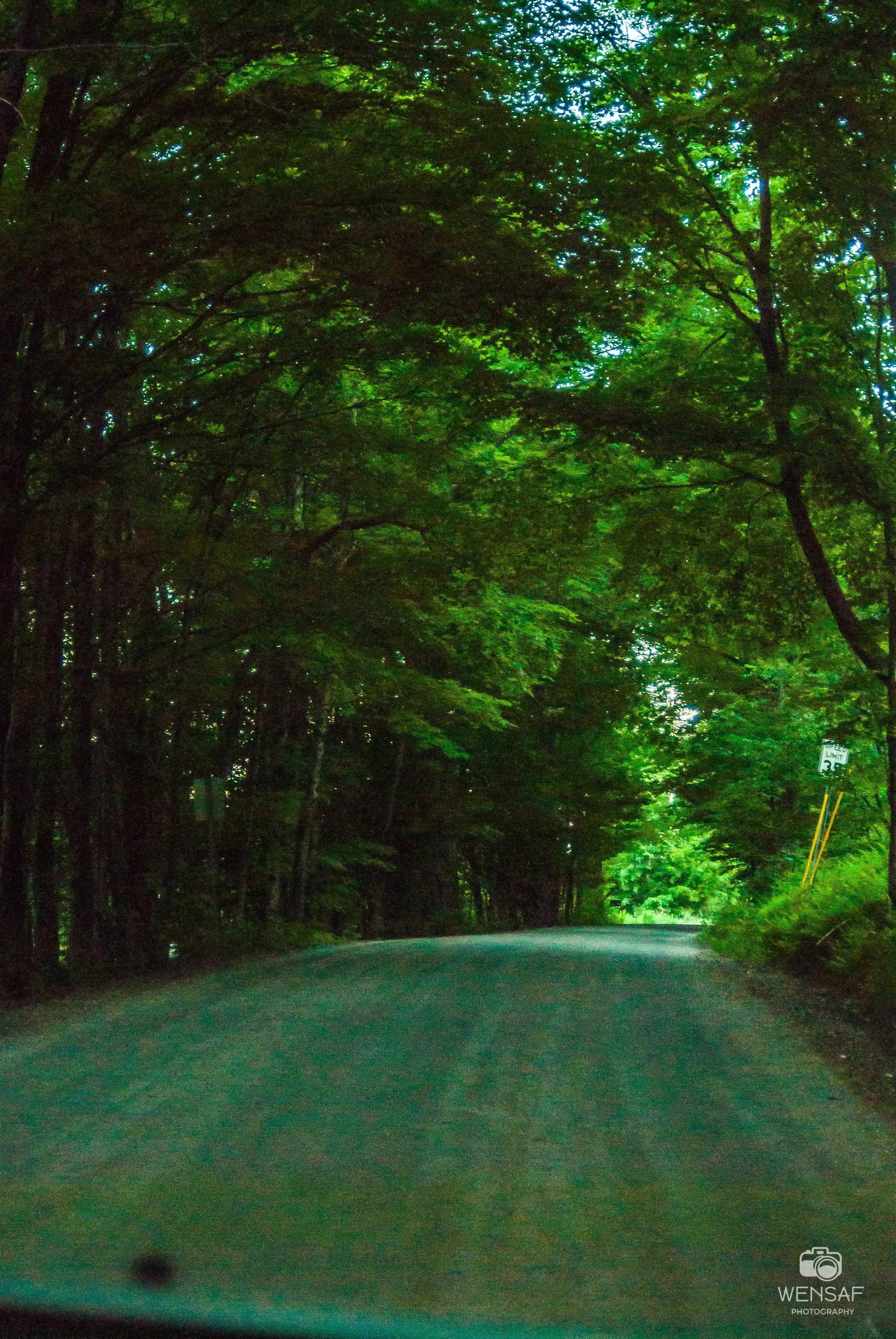 DSC_0053.jpg