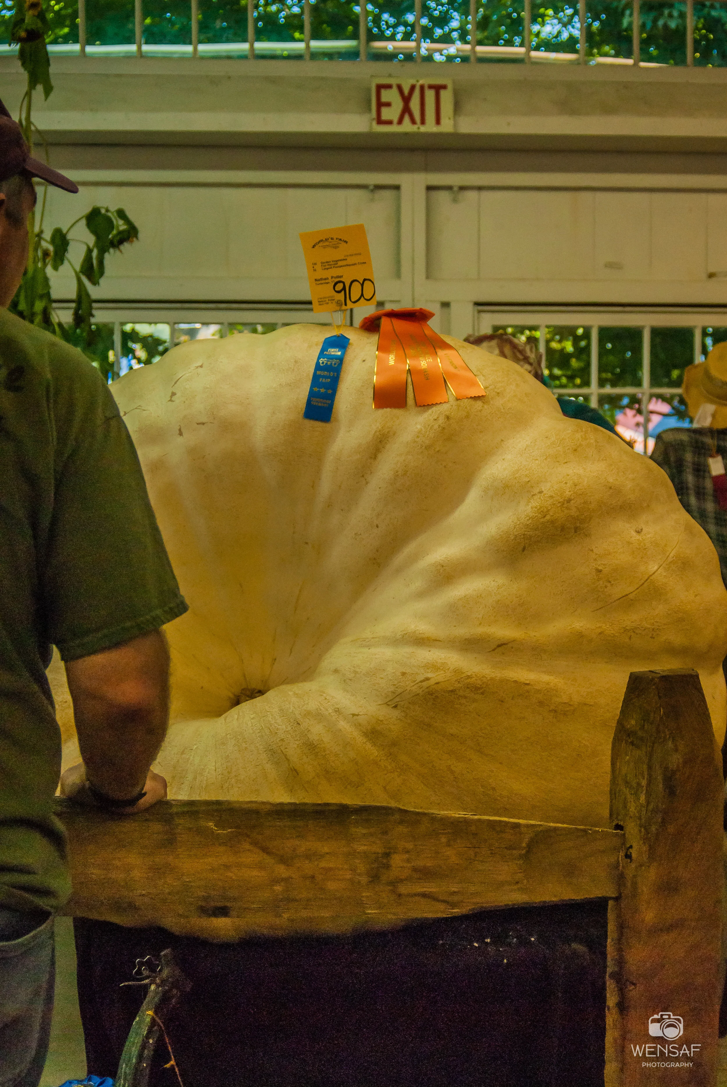900 lb pumpkin amazed me….but not my kids LOL