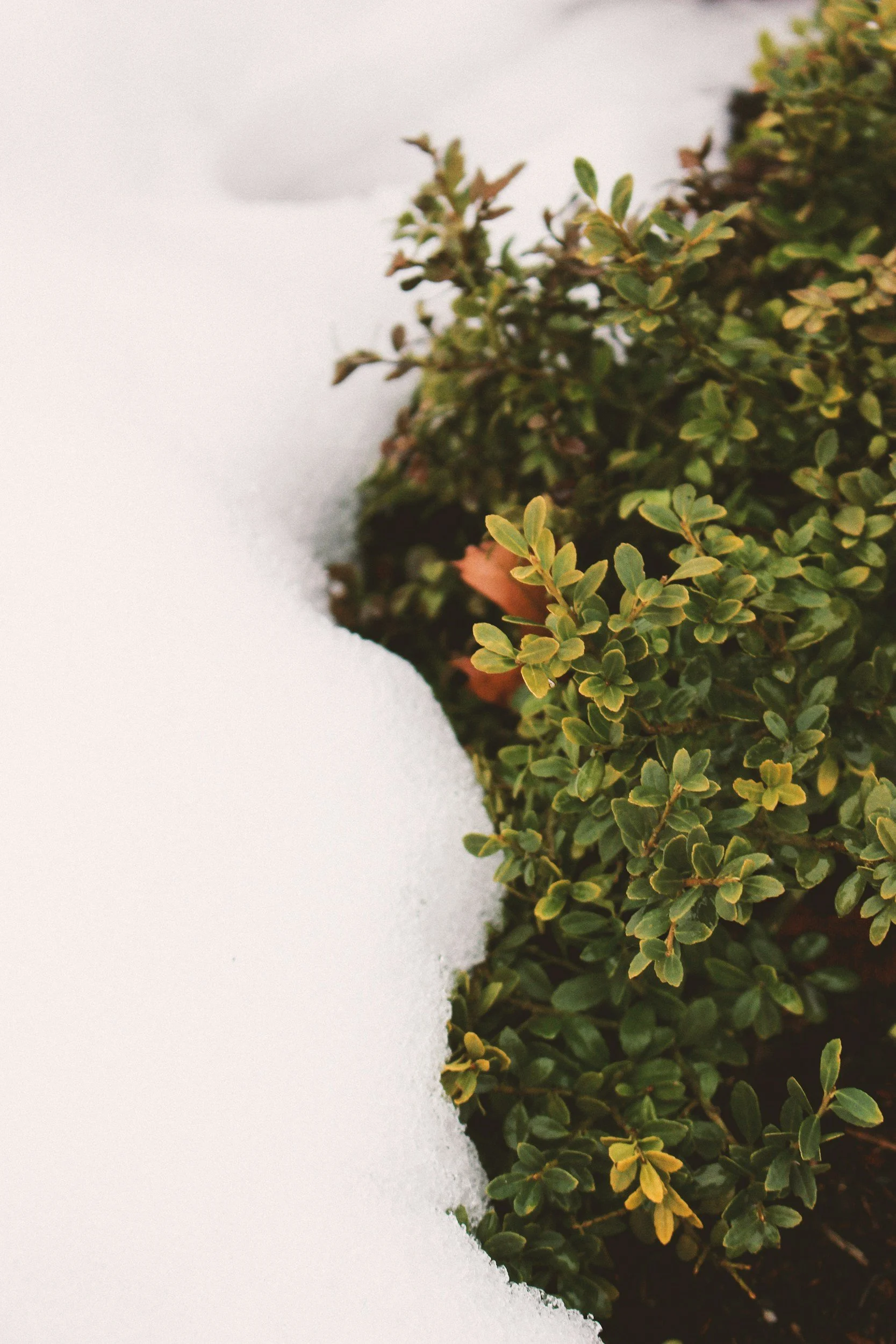 unsplash-image-AZNghxfQiXs.jpg