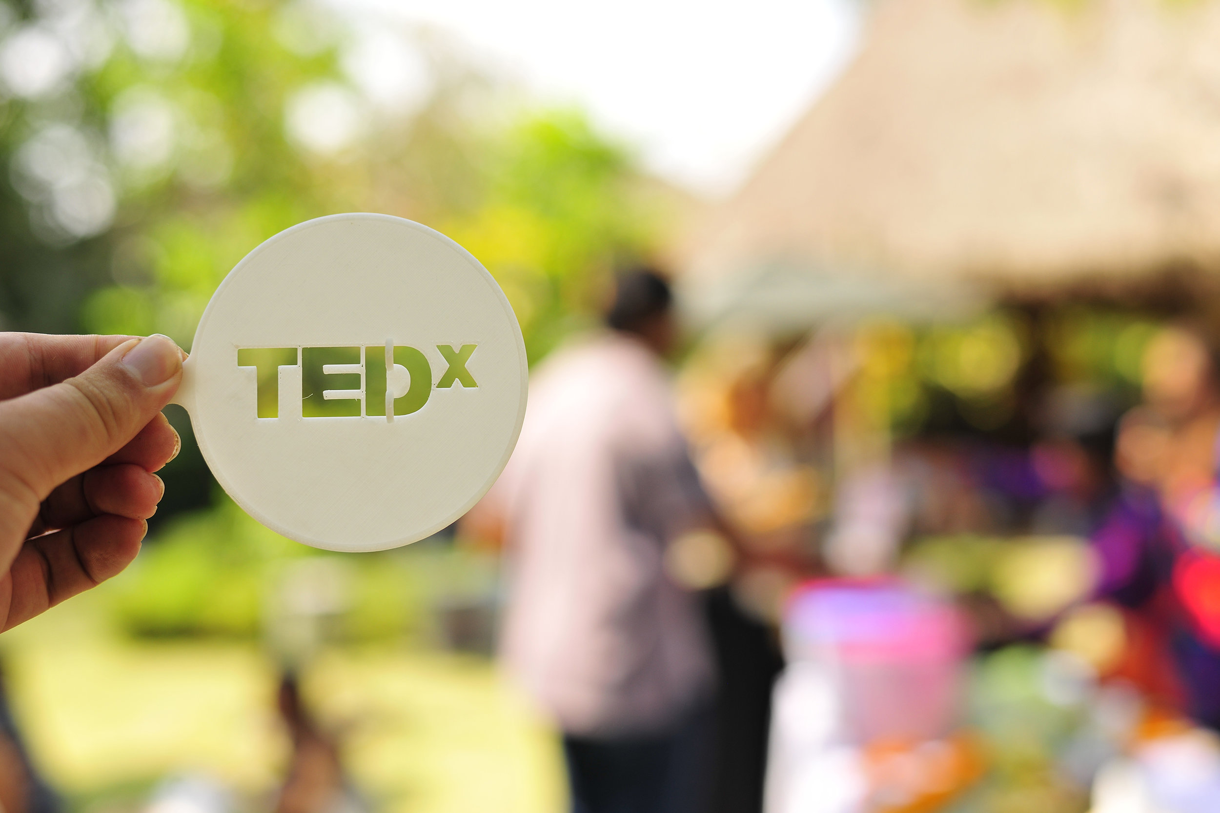 TEDx Ubud 2014 3D Printer © Viktor Prushenov_DSC3382.JPG