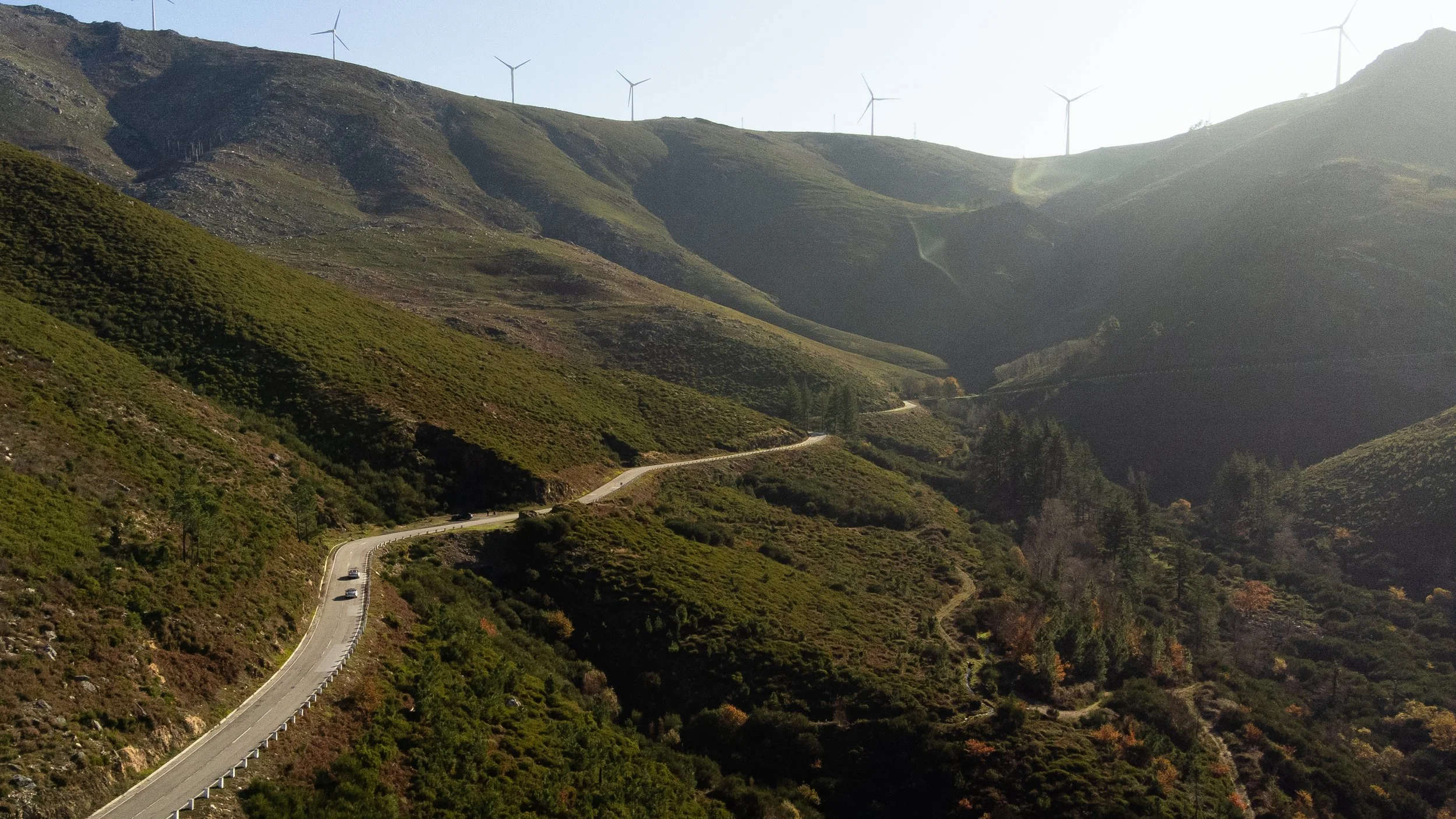 Porsche Boxster 25 Anos Res. Alta (120).JPG