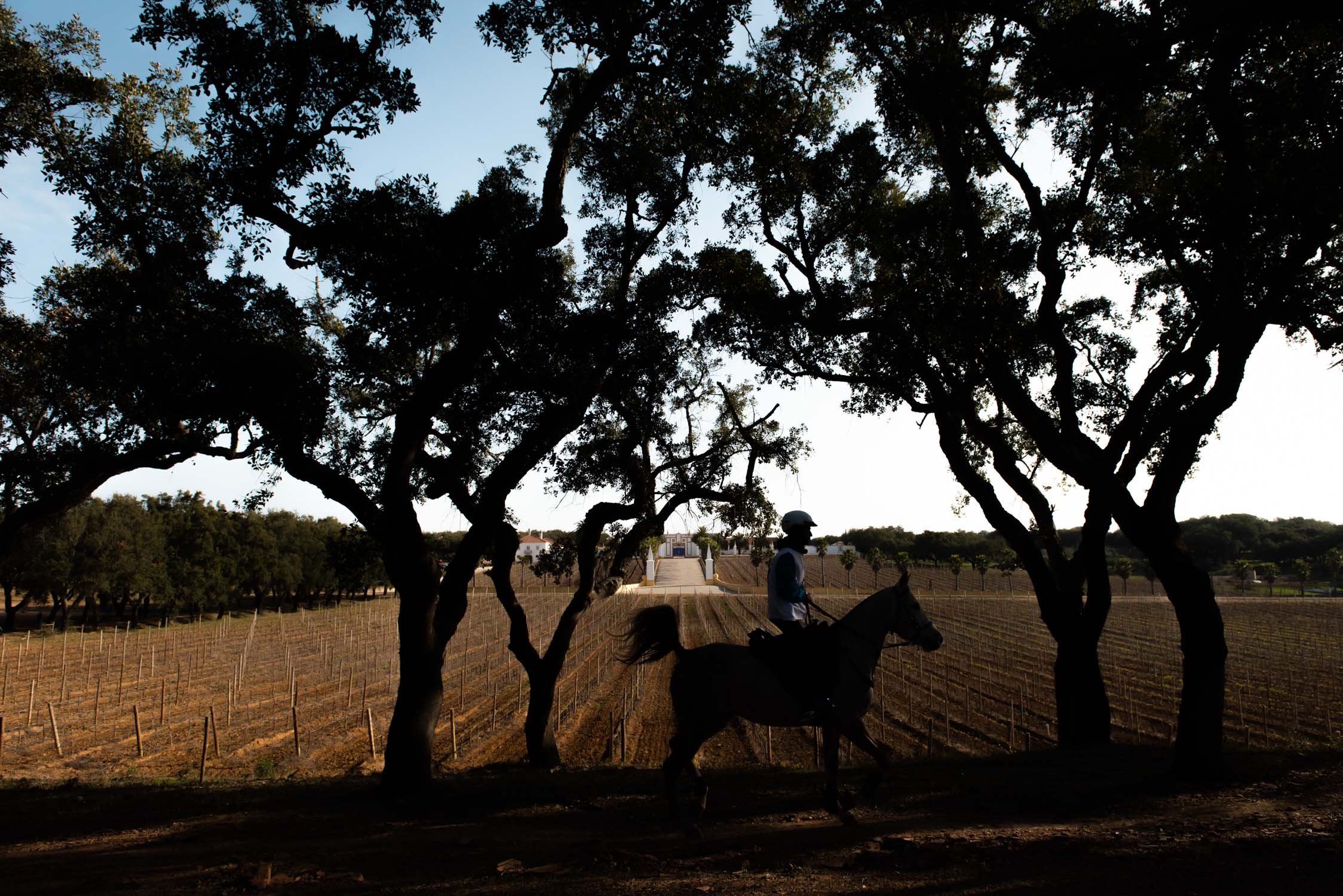 Quinta do Carmo Raide Hipico-12.JPG