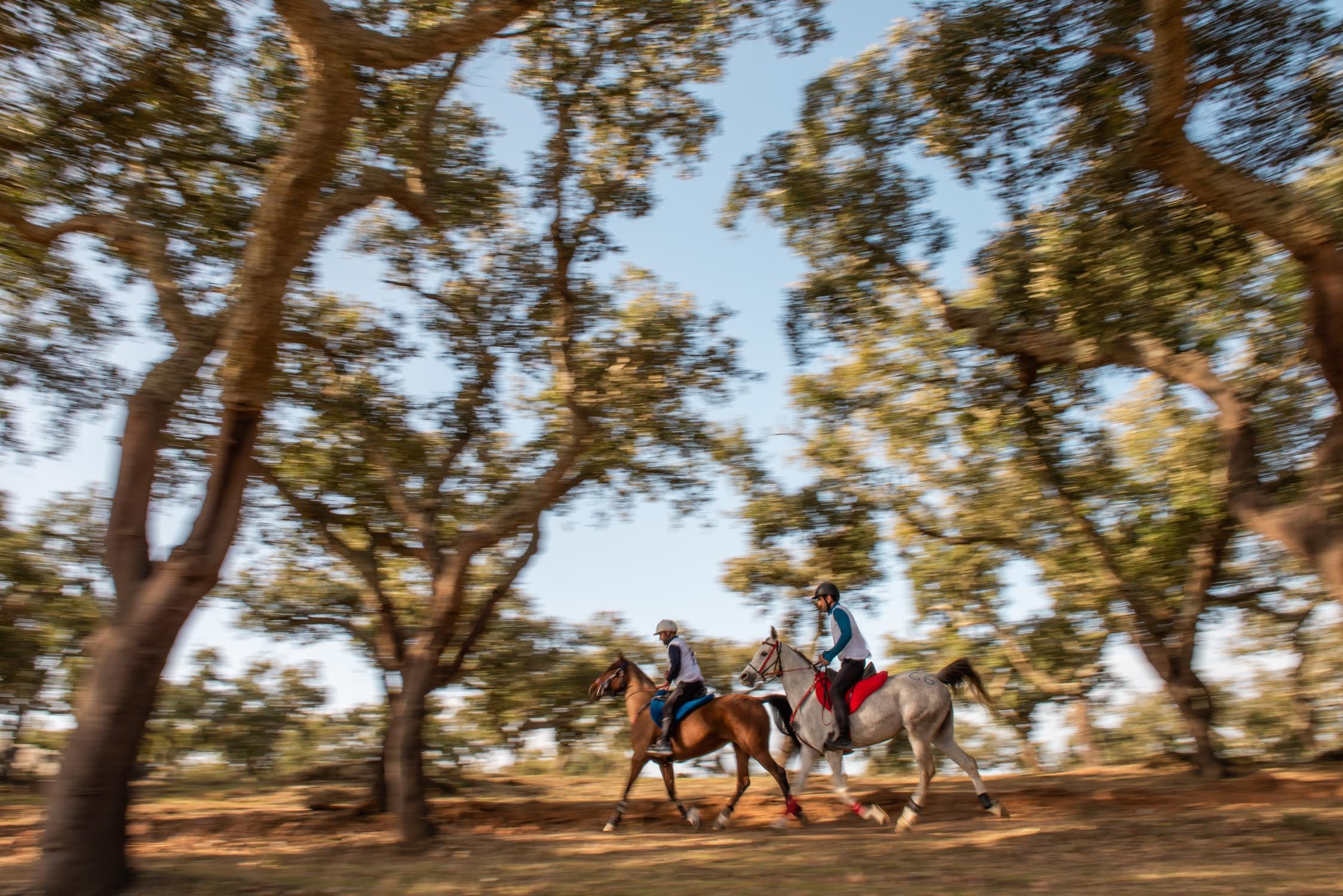 Quinta do Carmo Raide Hipico-15.JPG