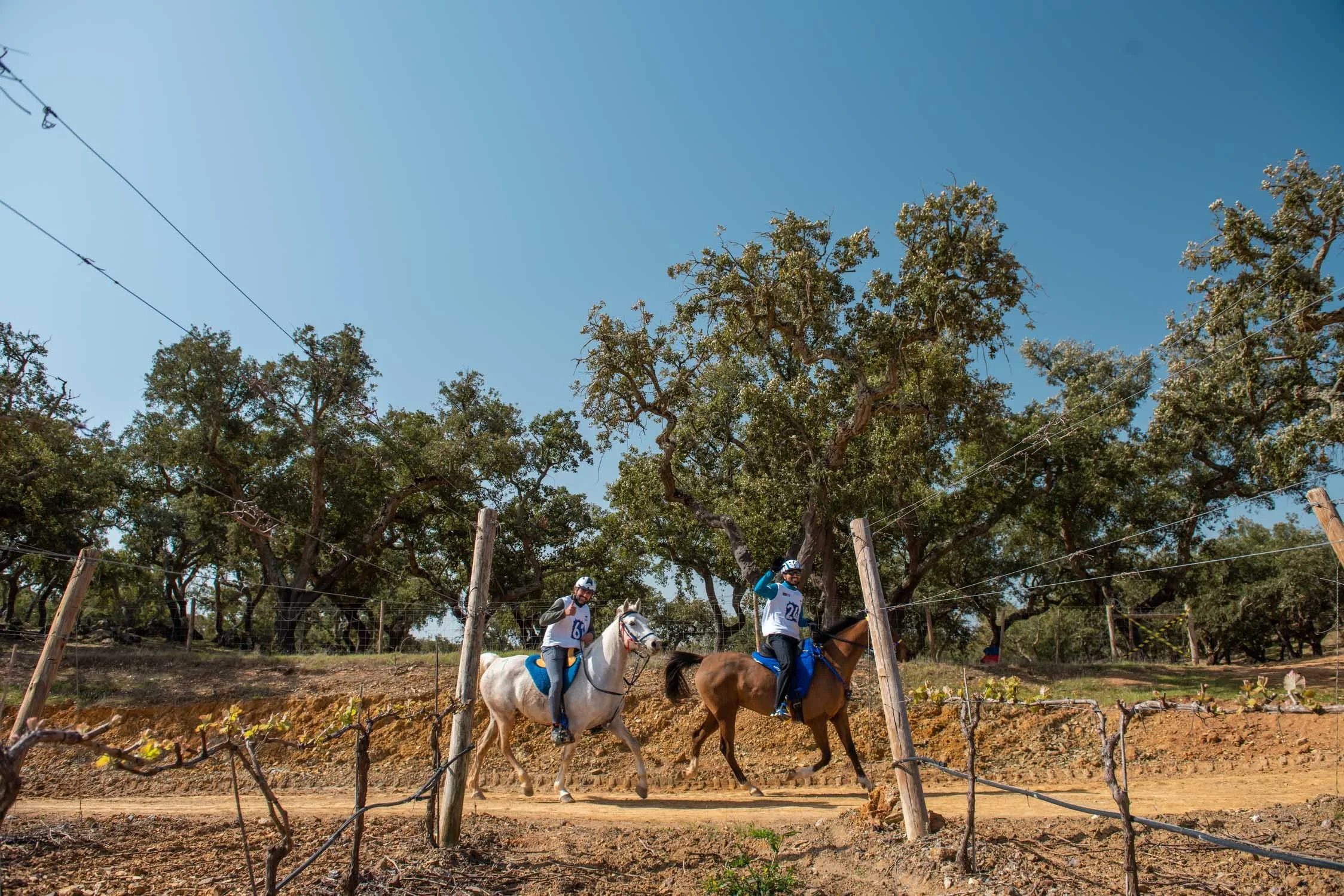 Quinta do Carmo Raide Hipico-28.JPG