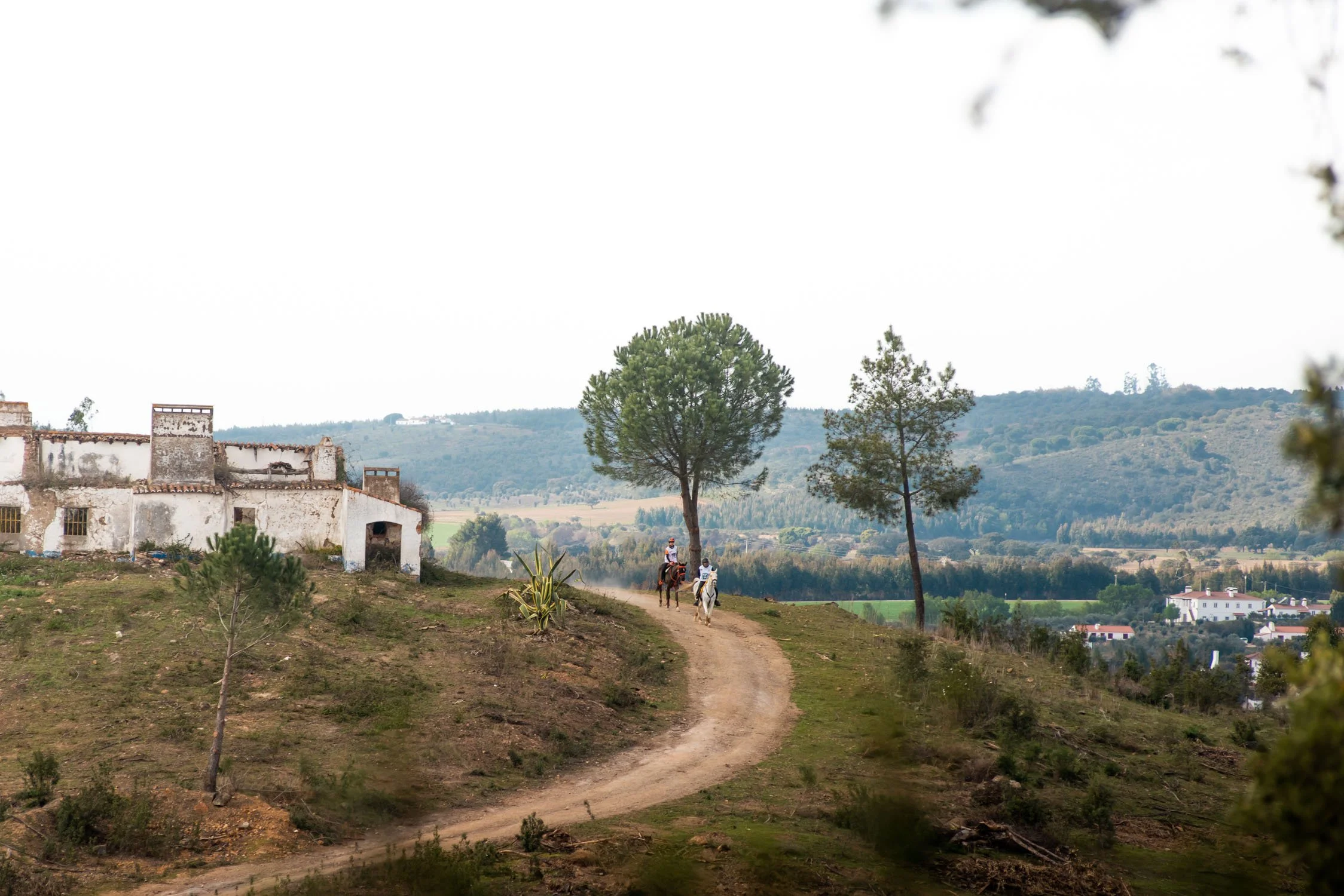 Quinta do Carmo Raide Hipico-36.JPG