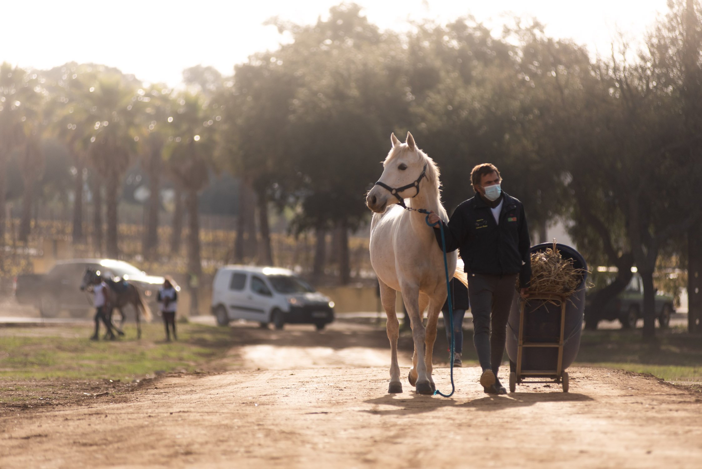 Quinta do Carmo Raide Hipico-7.JPG