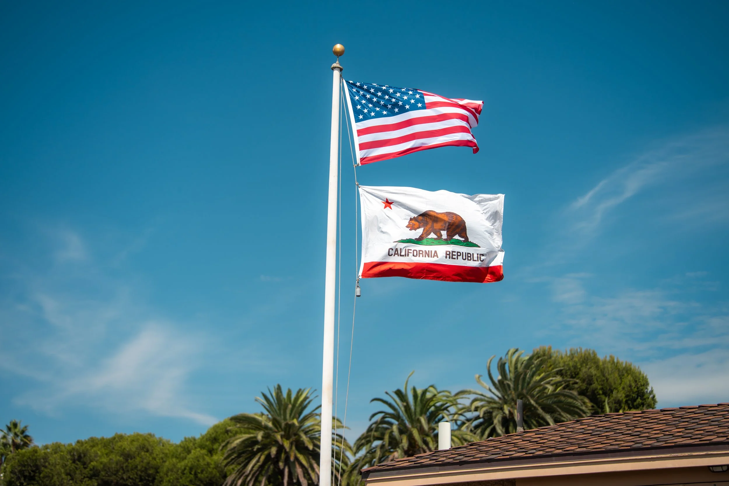 8California 2026.jpg