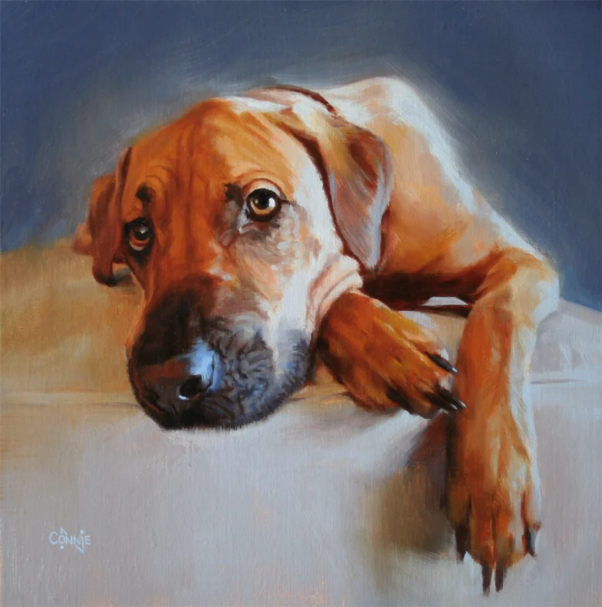 Marshall varnished.jpg