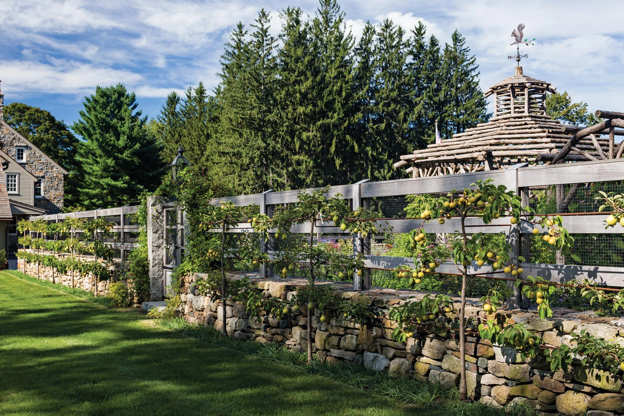 A fieldstone wall, topped with a mahogany rail fence, provides a garden enclosure and a backdrop for pear espalier.