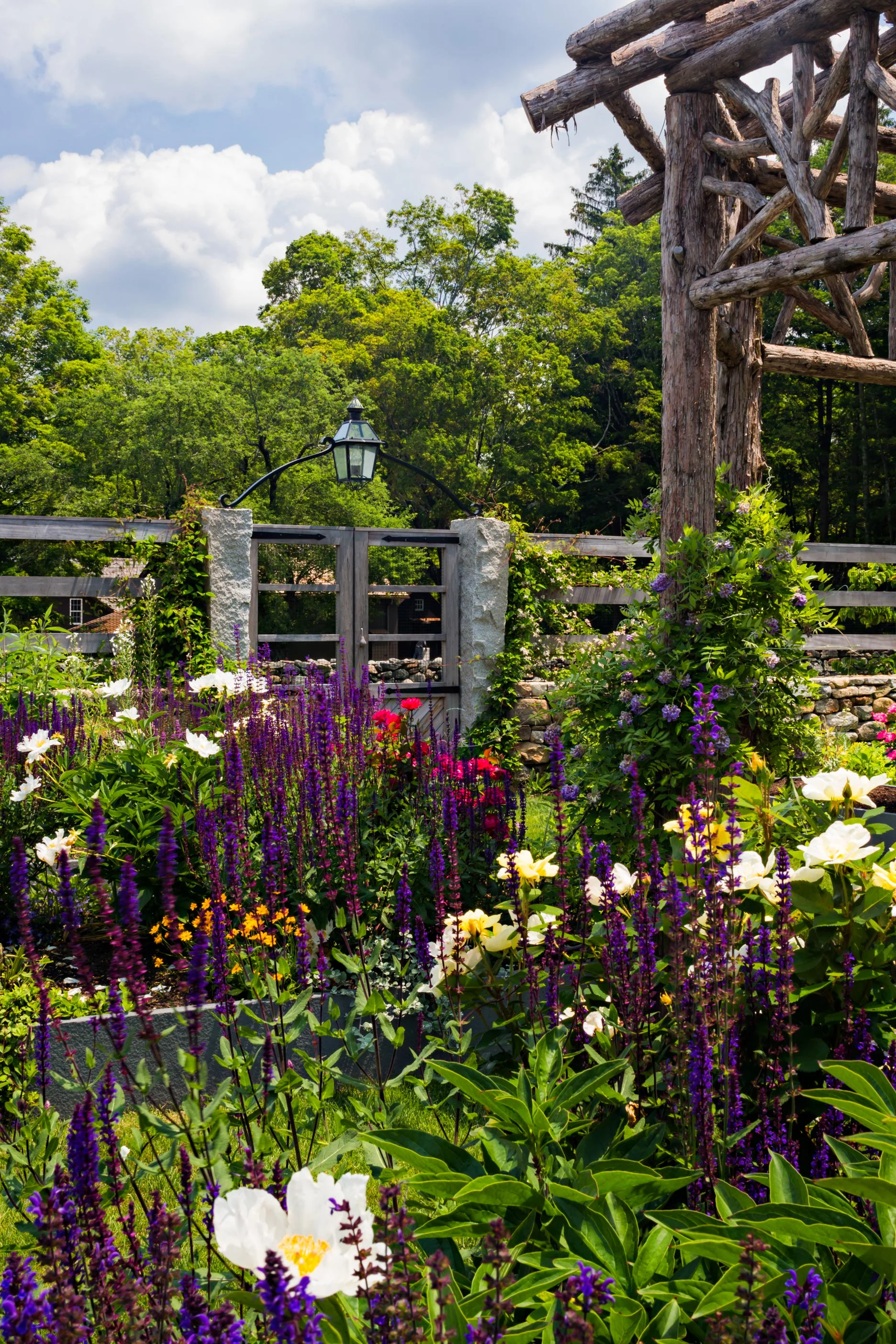 HS_ShearerRoad_June_23_flowers.jpg