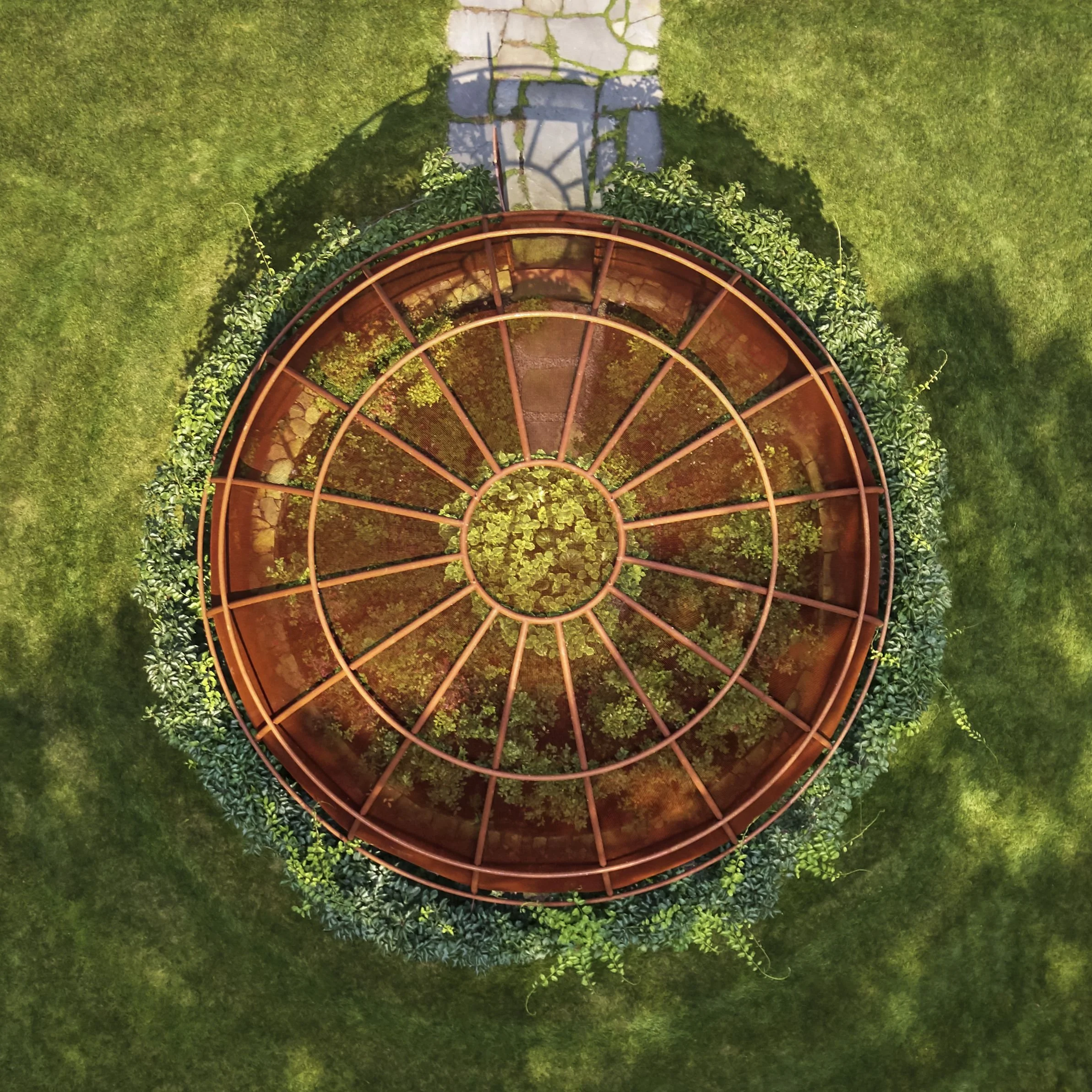 Berry Bowl Aerial Close-up.jpg