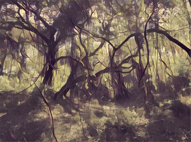 HM_Leight Bohne_enchanted forest.jpeg
