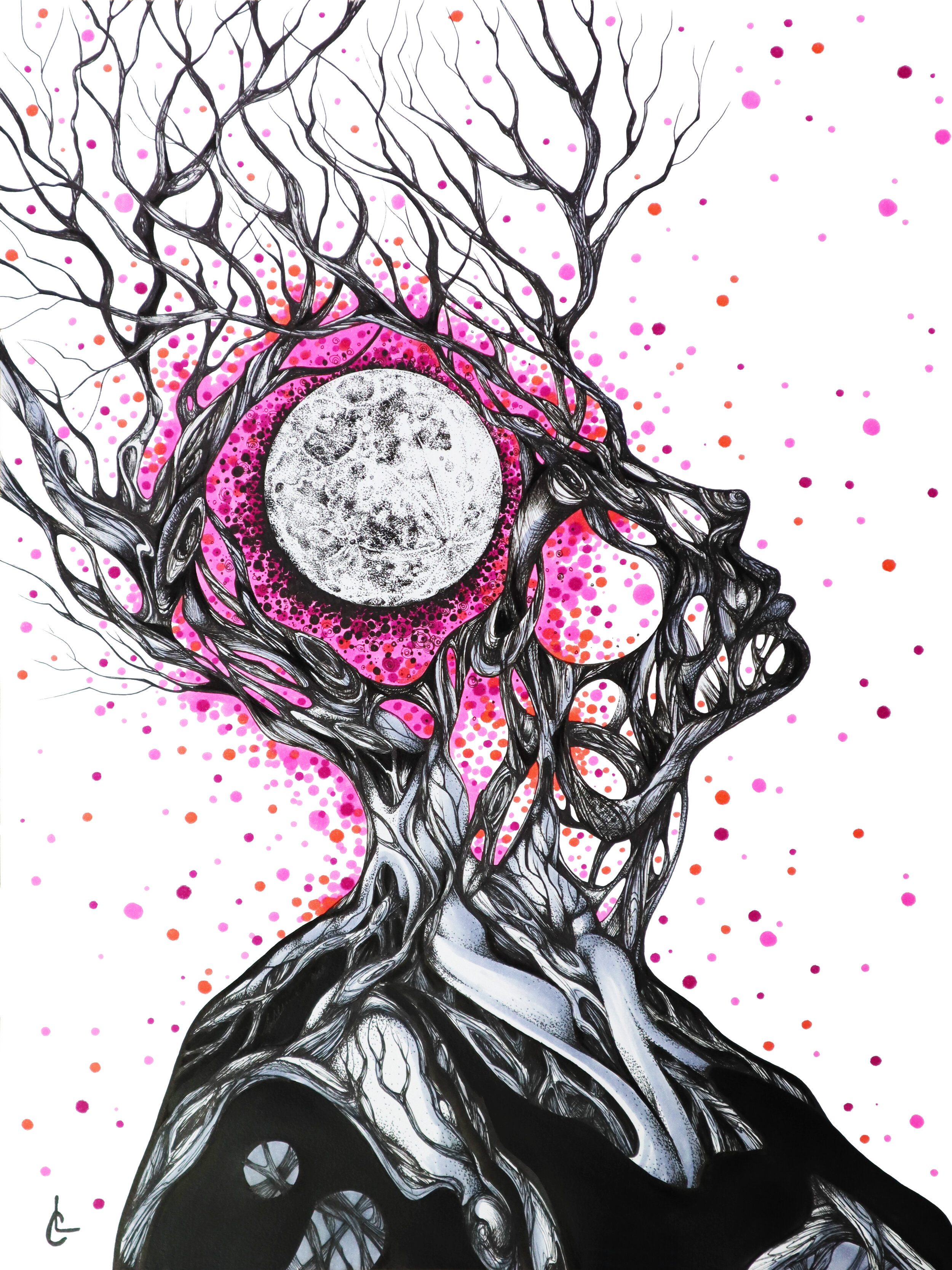 “A New Phase” by Liza Compass
